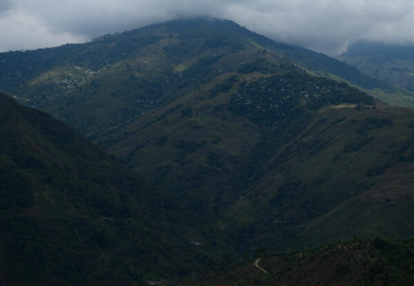 DSC_1304-Editar