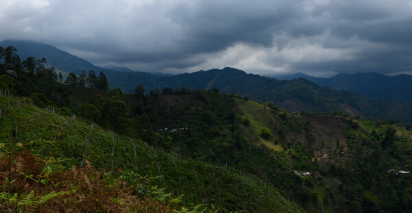 DSC_1336-Editar